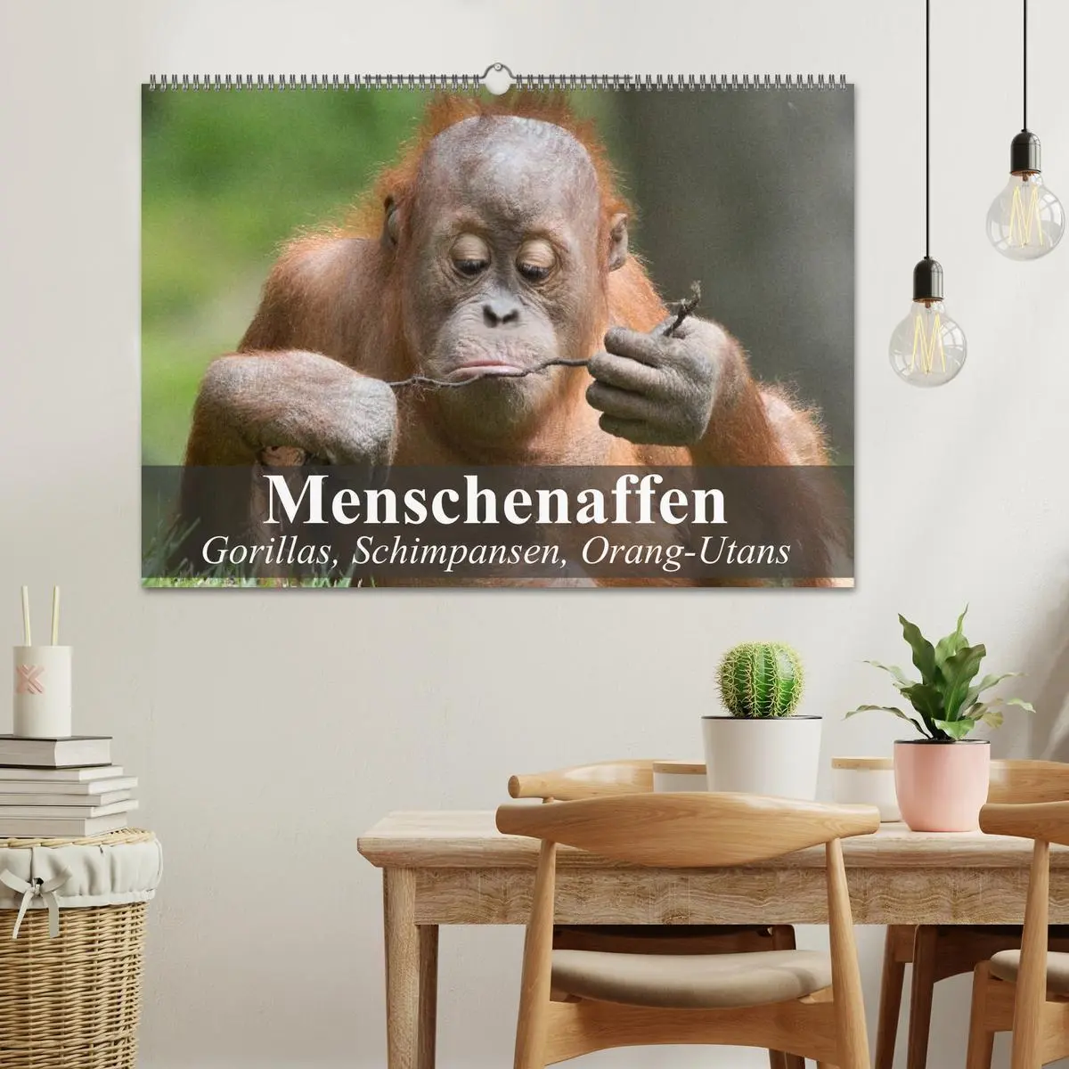 Bild: 9783516071887 | Menschenaffen. Gorillas, Schimpansen, Orang-Utans (Wandkalender...