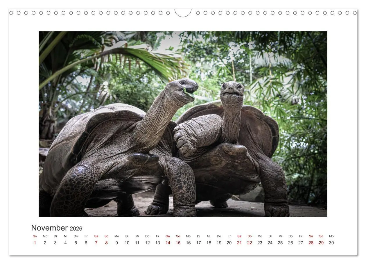Bild: 9783457351987 | Seychellen - unterwegs mit Julia Hahn (Wandkalender 2026 DIN A3...