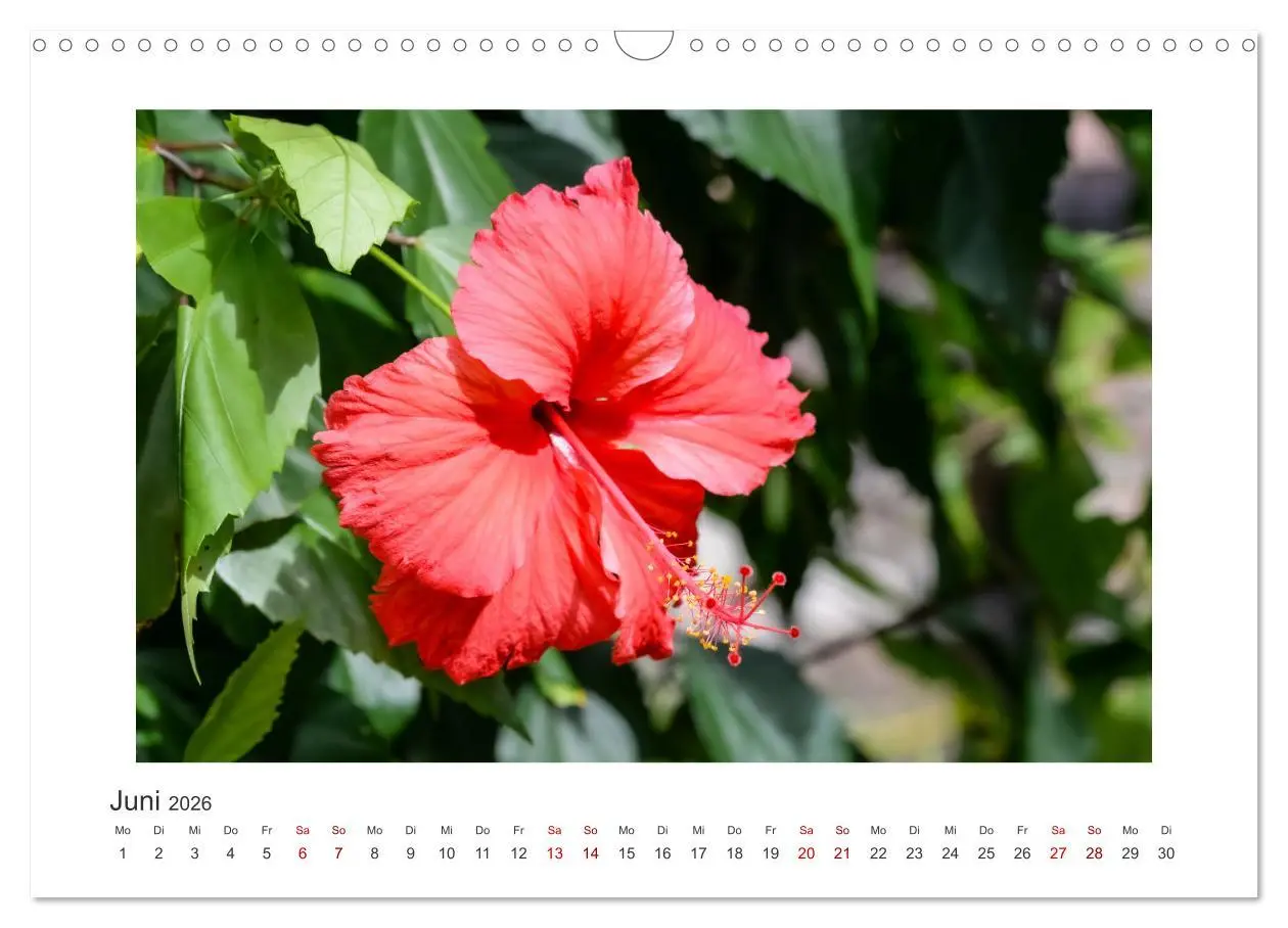 Bild: 9783457351987 | Seychellen - unterwegs mit Julia Hahn (Wandkalender 2026 DIN A3...