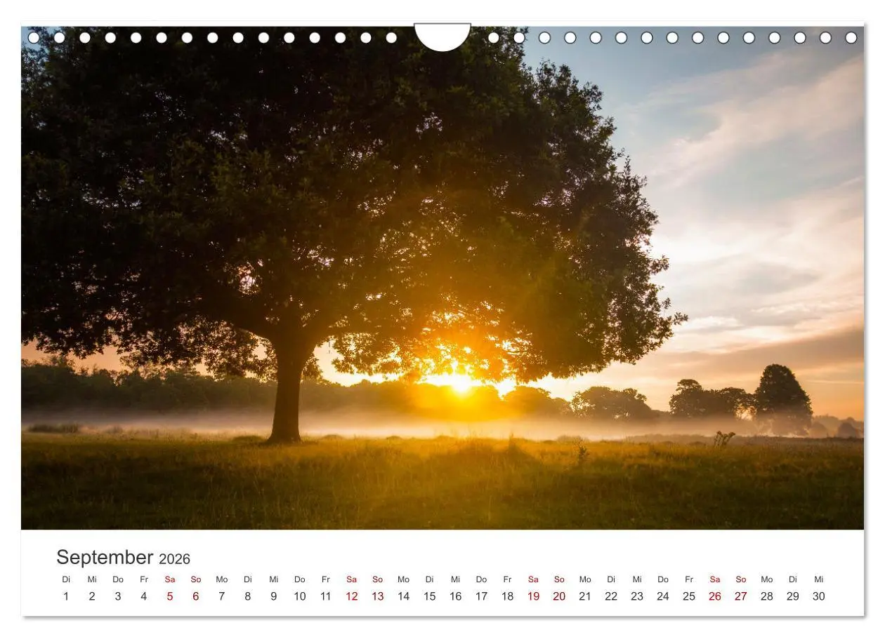 Bild: 9783457612187 | Sonnenaufgänge - Für einen guten Start in den Tag. (Wandkalender...
