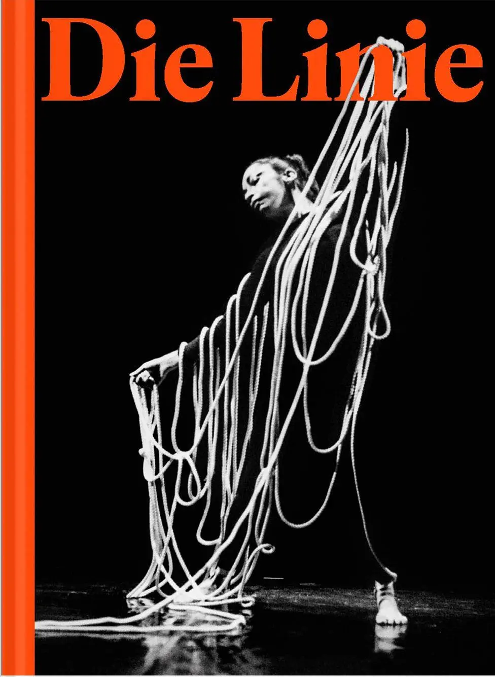 Cover: 9783991532187 | Die Linie | Heidi Horten Collection | Véronique Abpurg (u. a.) | Buch