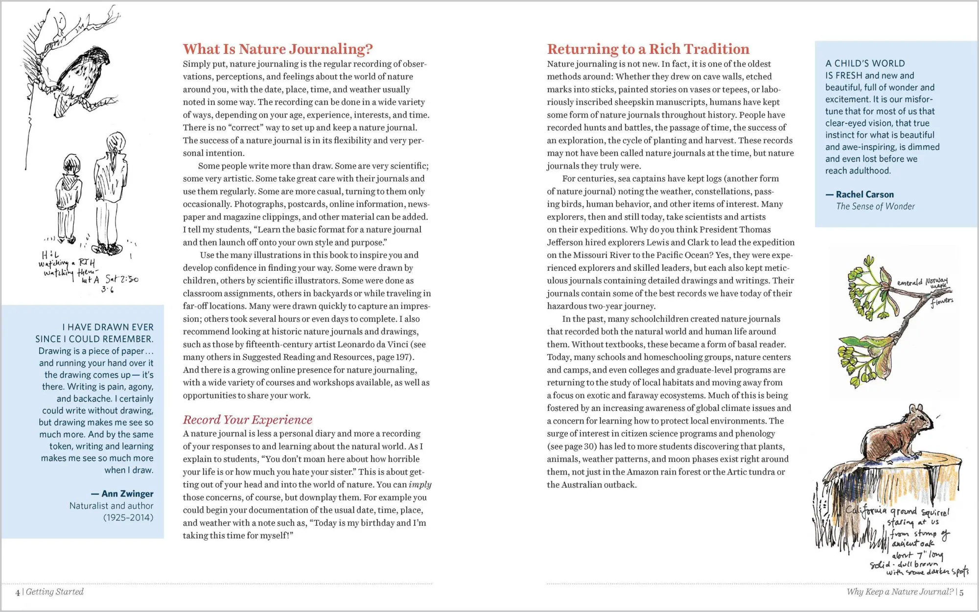 Bild: 9781635862287 | Keeping a Nature Journal, 3rd Edition | Clare Walker Leslie | Buch