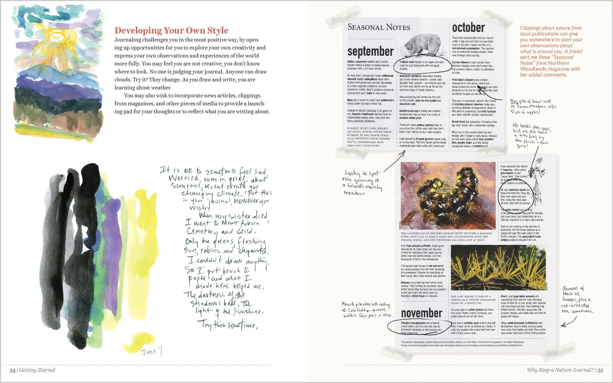 Bild: 9781635862287 | Keeping a Nature Journal, 3rd Edition | Clare Walker Leslie | Buch
