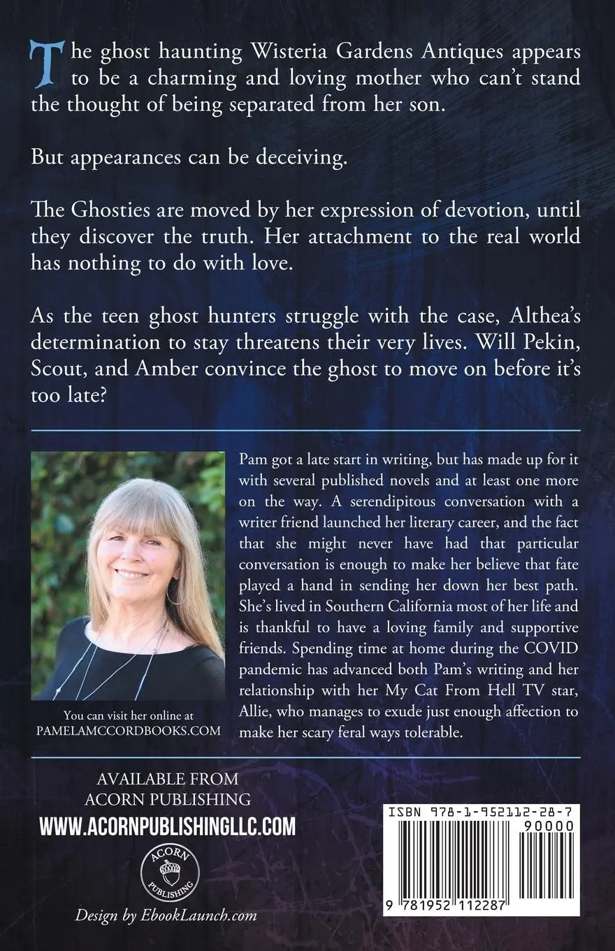 Rückseite: 9781952112287 | The Problem At Wisteria Gardens | Pamela McCord | Taschenbuch | 2020
