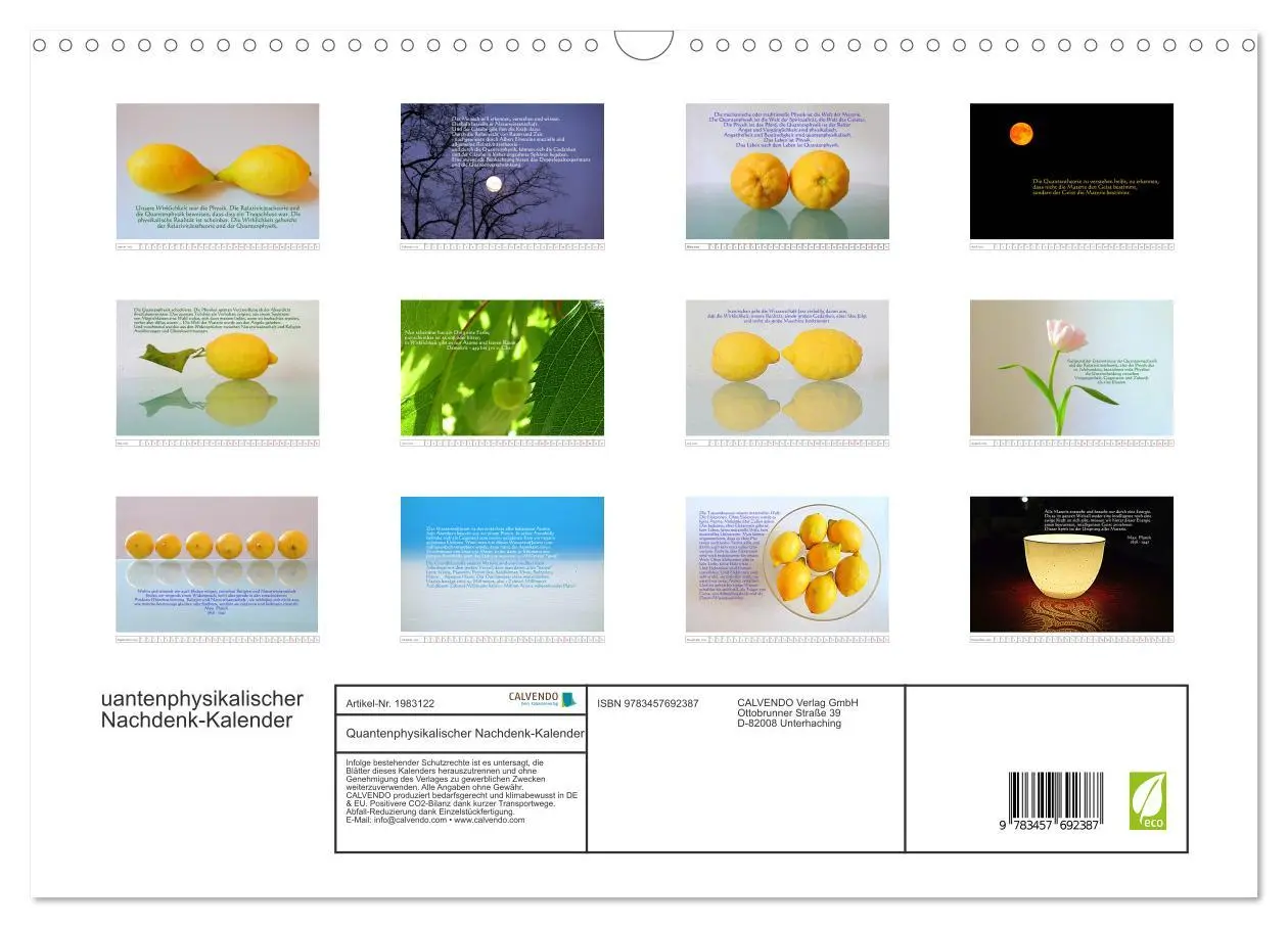 Bild: 9783457692387 | Quantenphysikalischer Nachdenk-Kalender (Wandkalender 2026 DIN A3...