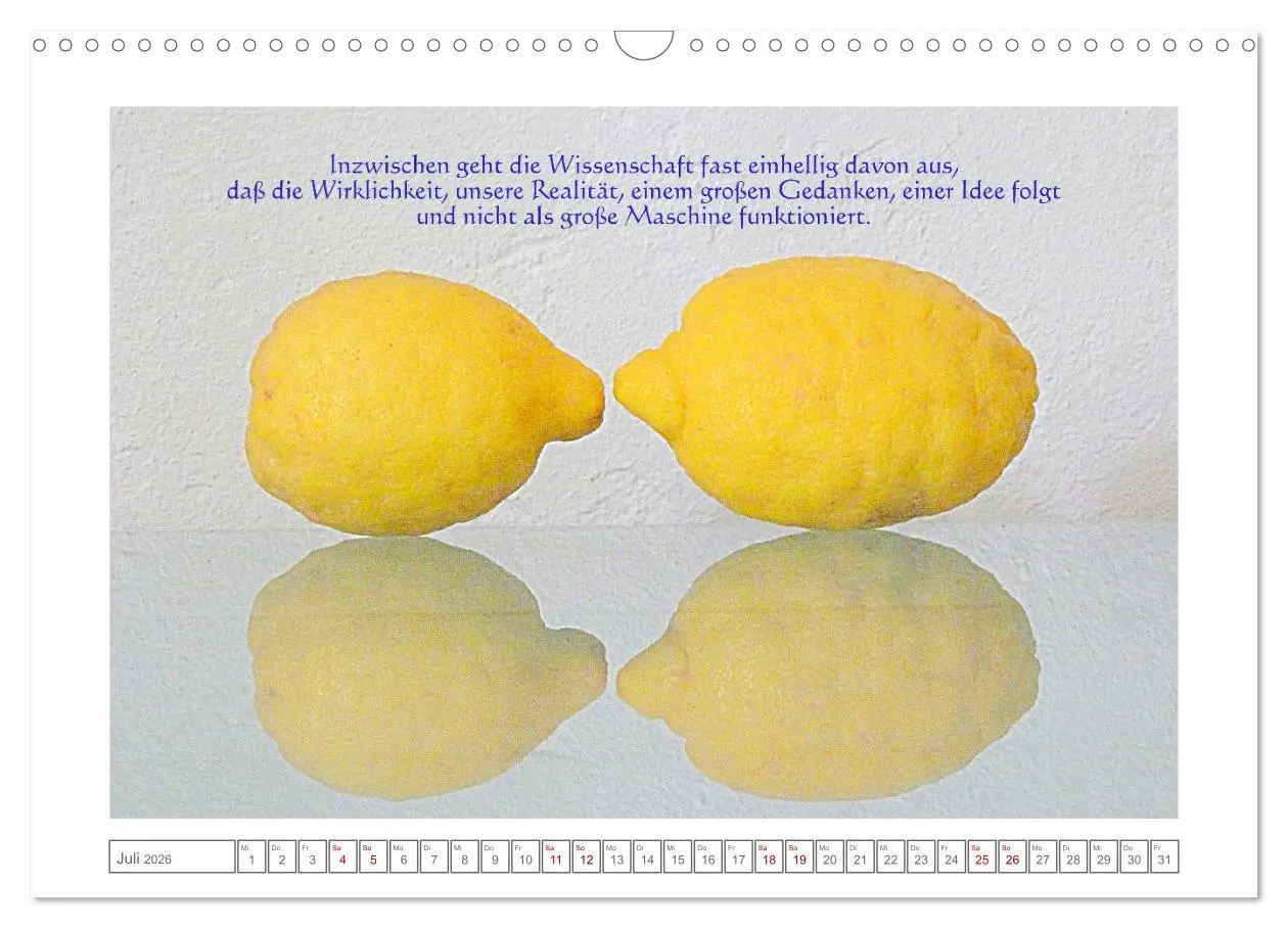 Bild: 9783457692387 | Quantenphysikalischer Nachdenk-Kalender (Wandkalender 2026 DIN A3...