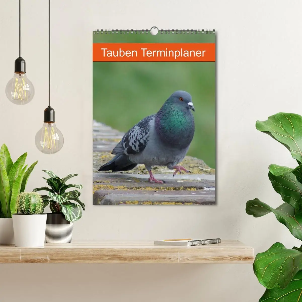 Bild: 9783569942387 | Tauben Terminplaner (Wandkalender 2027 DIN A3 hoch), CALVENDO...