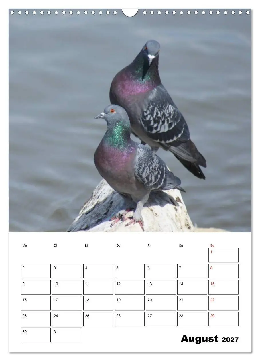 Bild: 9783569942387 | Tauben Terminplaner (Wandkalender 2027 DIN A3 hoch), CALVENDO...