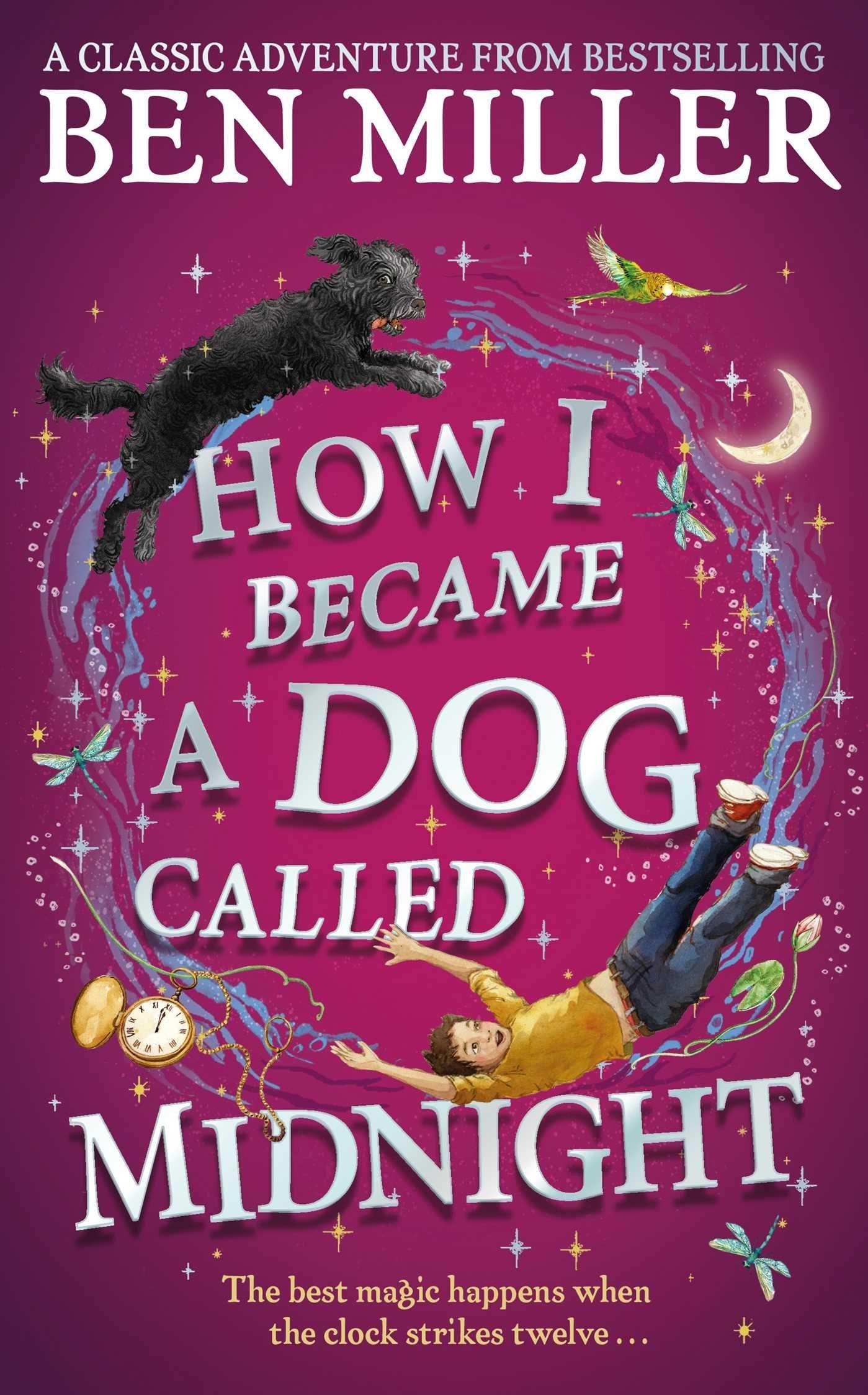 Cover: 9781471192487 | How I Became a Dog Called Midnight | Ben Miller | Buch | Gebunden