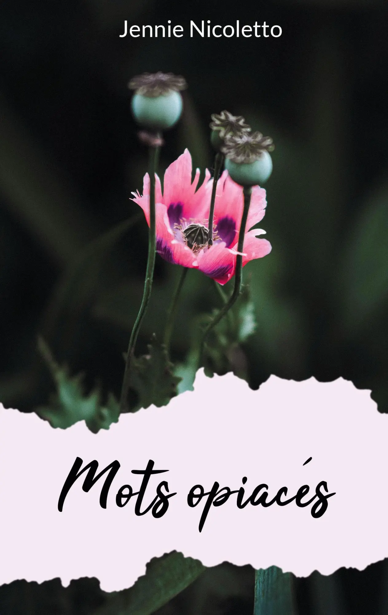 Cover: 9782322112487 | Mots opiacés | Jennie Nicoletto | Taschenbuch | Französisch | 2023