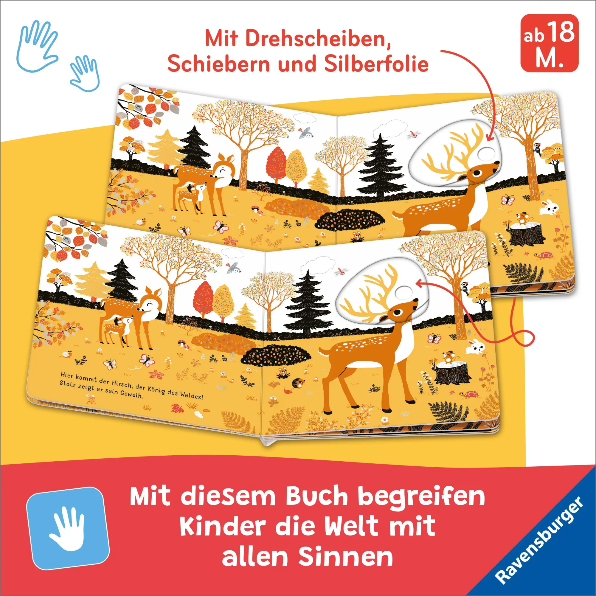 Bild: 9783473422487 | Mein erstes Glitzerbuch - Im Wald | Emiri Hayashi | Buch | 12 S.