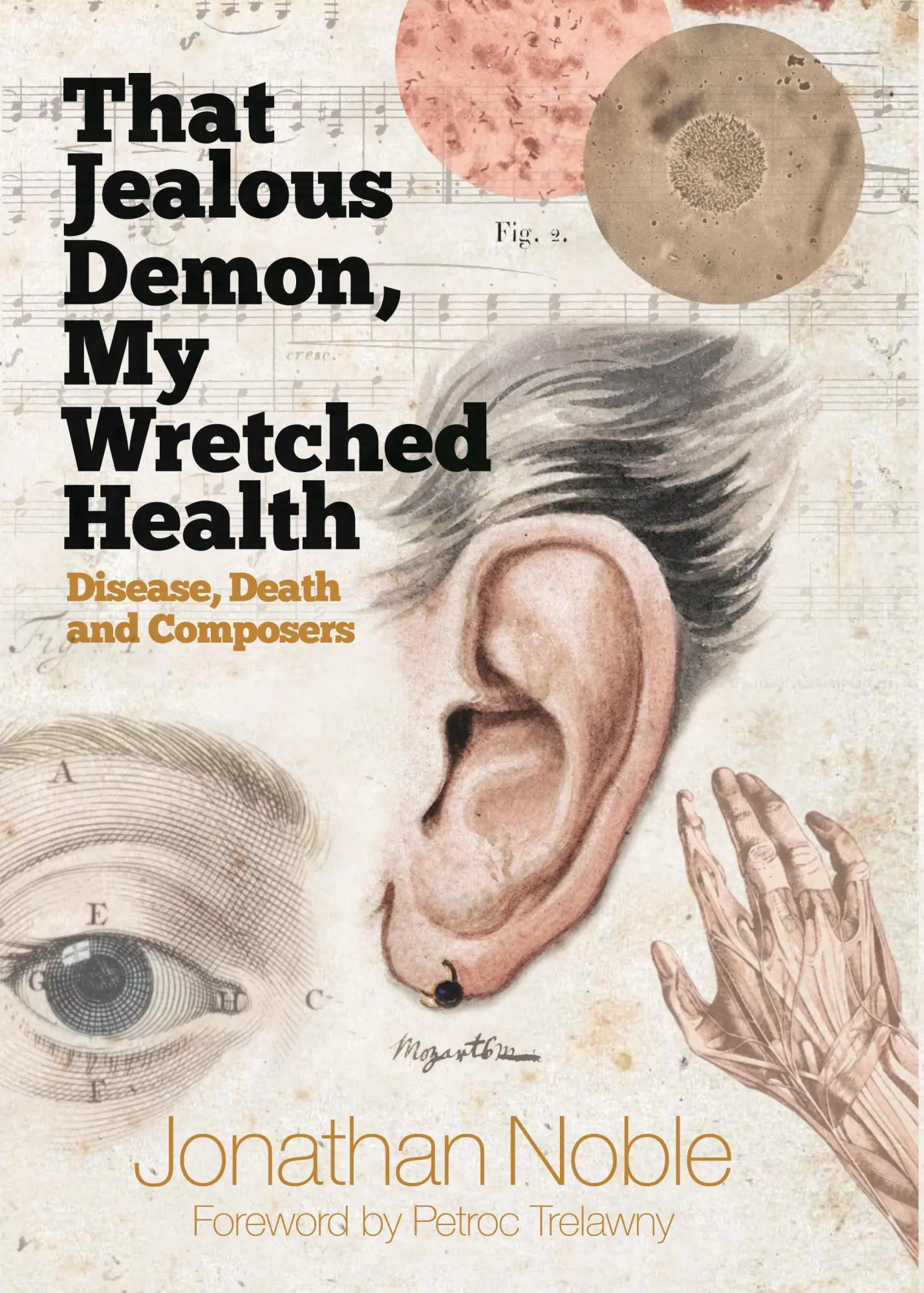Cover: 9781783272587 | That Jealous Demon, My Wretched Health | Disease, Death and Composers