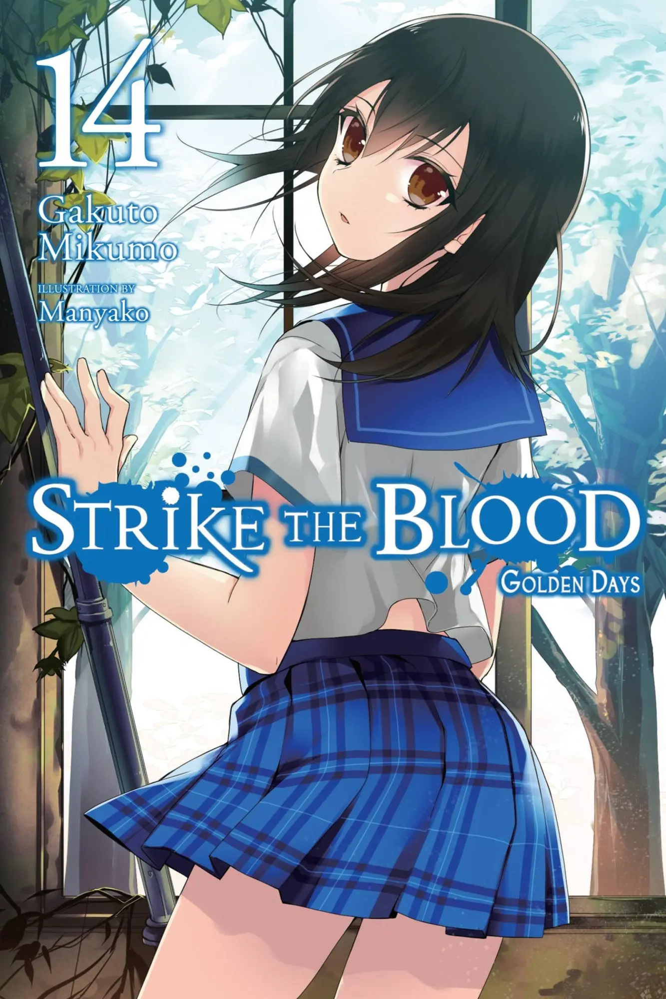 Cover: 9781975332587 | Strike the Blood, Vol. 14 (light novel) | Gakuto Mikumo (u. a.) | Buch