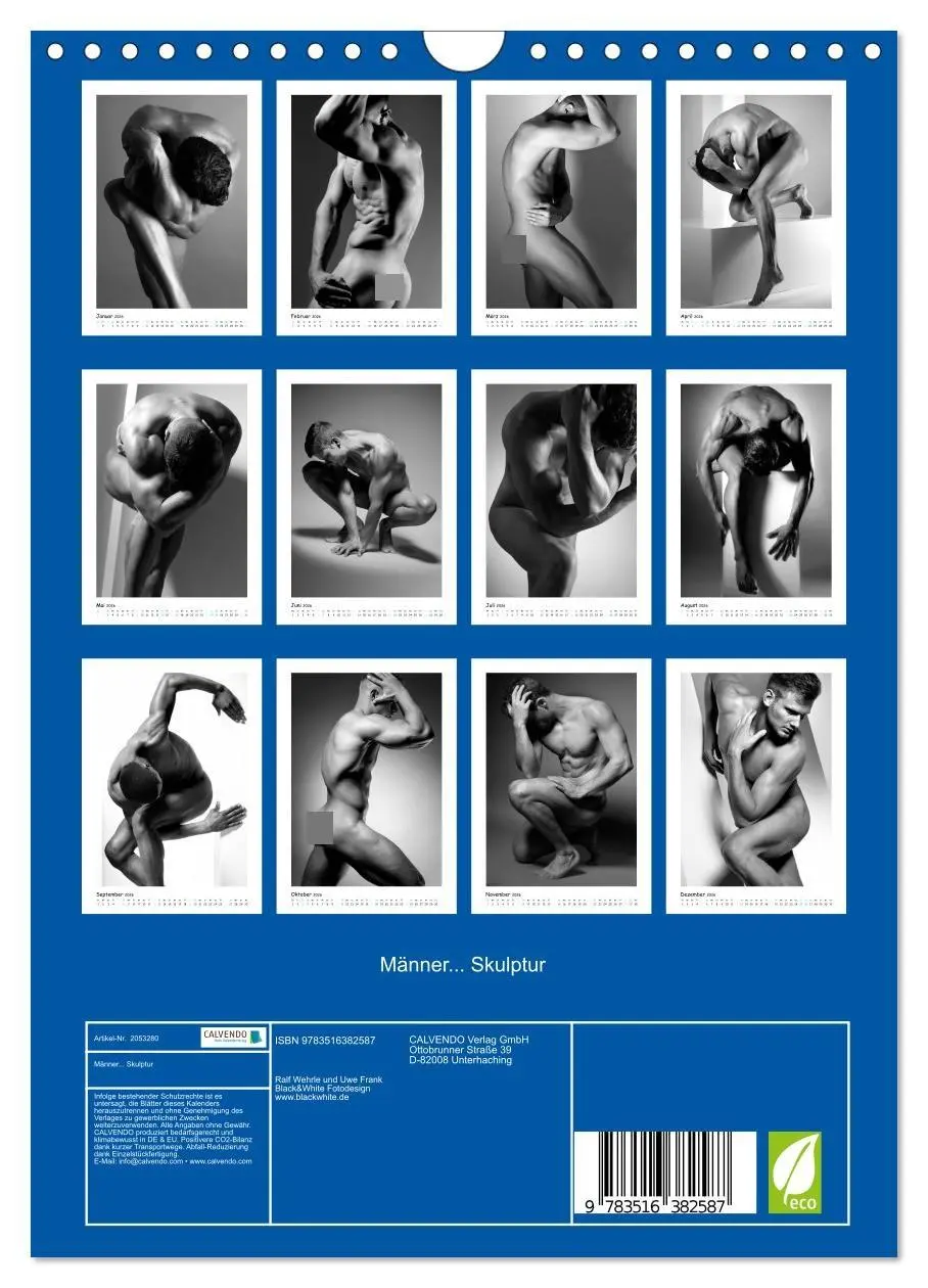 Bild: 9783516382587 | Männer... Skulptur (Wandkalender 2026 DIN A4 hoch), CALVENDO...