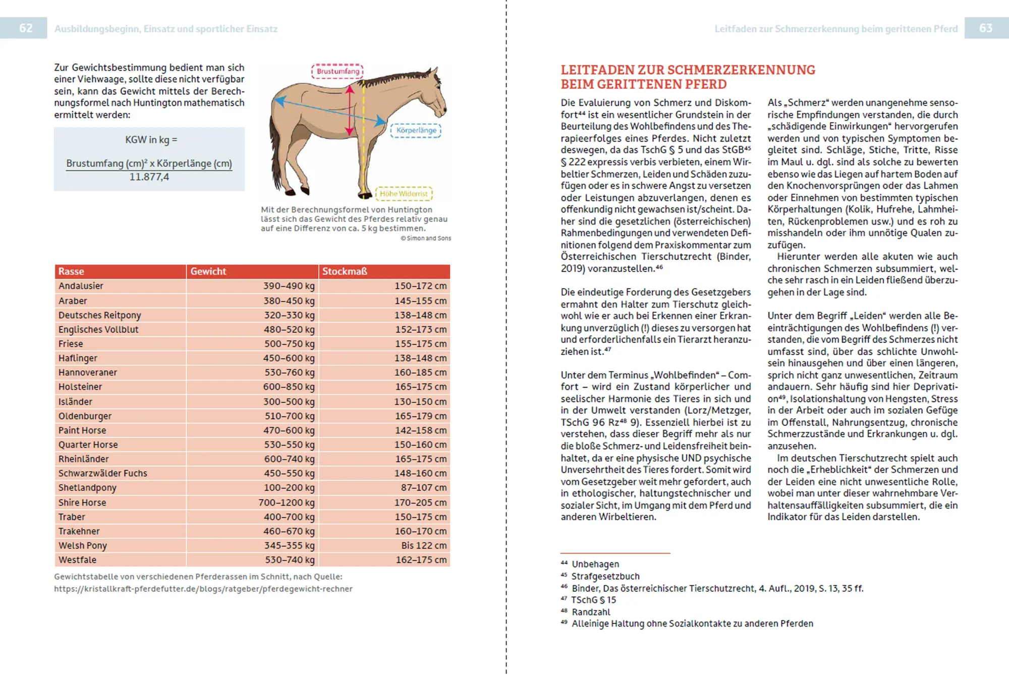 Bild: 9783702022587 | Rechtsleitfaden zum (Freizeit-)Reit- &amp; Pferdesport | Stodulka (u. a.)