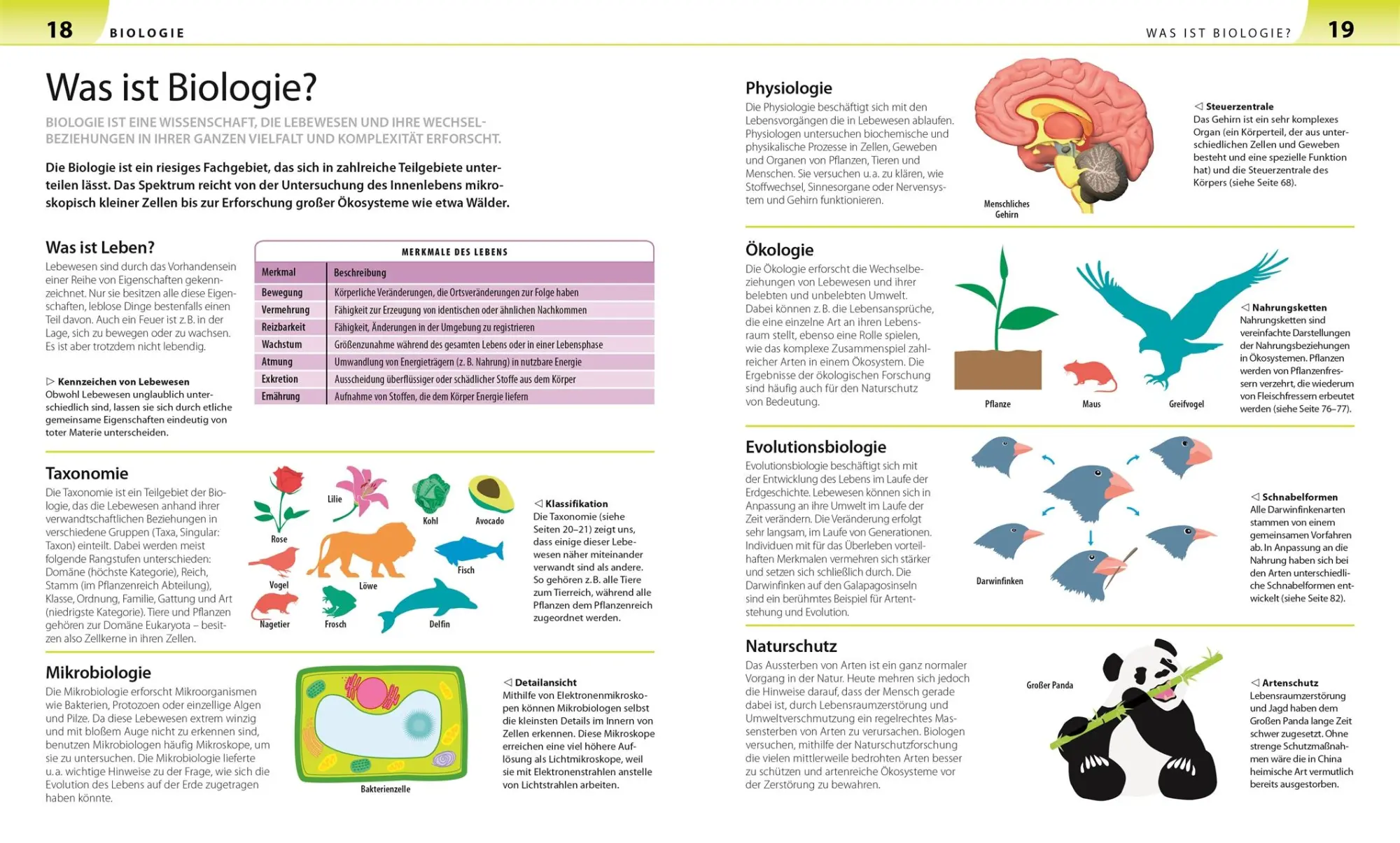 Bild: 9783831032587 | Biologie, Chemie, Physik für Eltern | DK Verlag | Taschenbuch | 264 S.