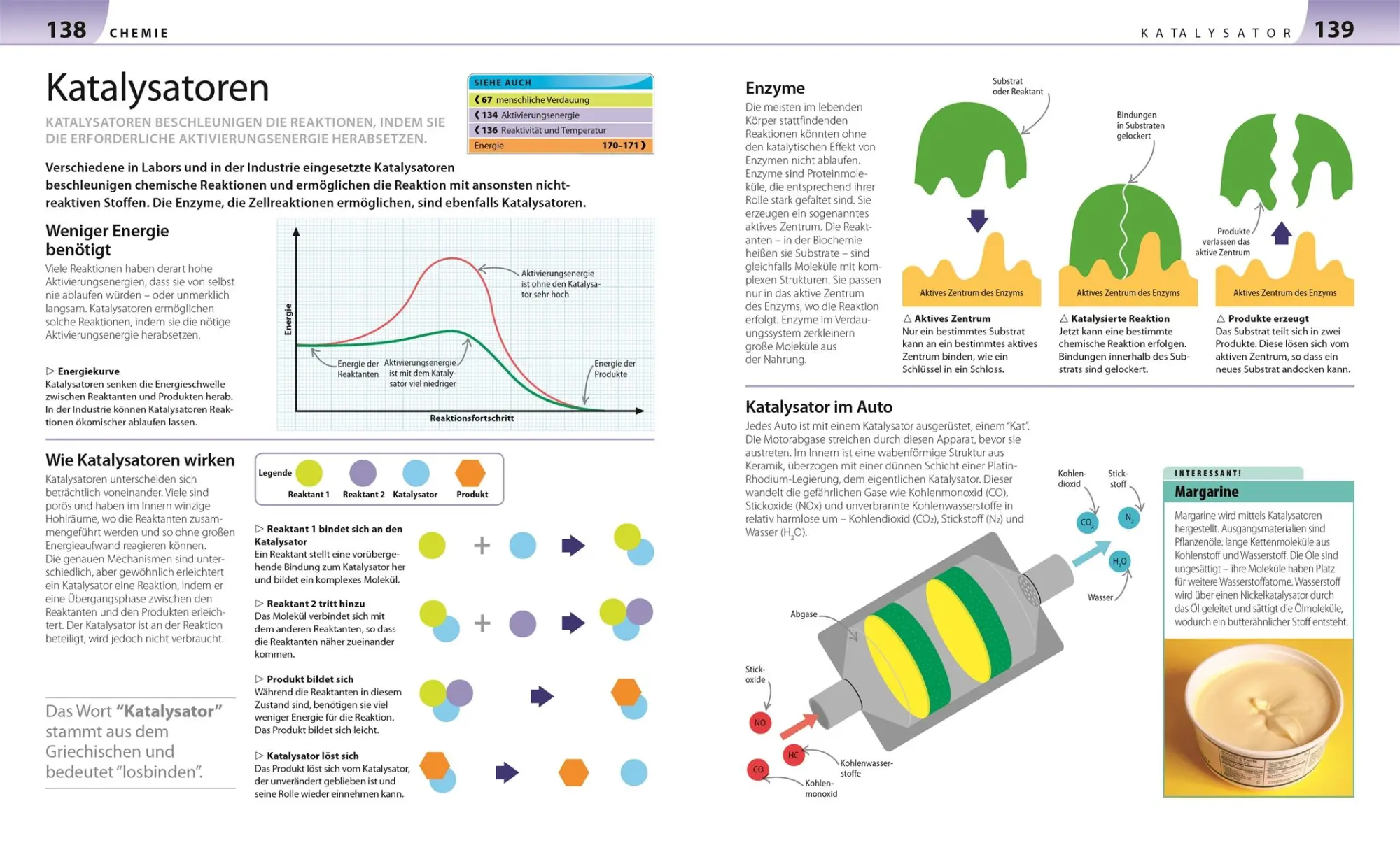 Bild: 9783831032587 | Biologie, Chemie, Physik für Eltern | DK Verlag | Taschenbuch | 264 S.