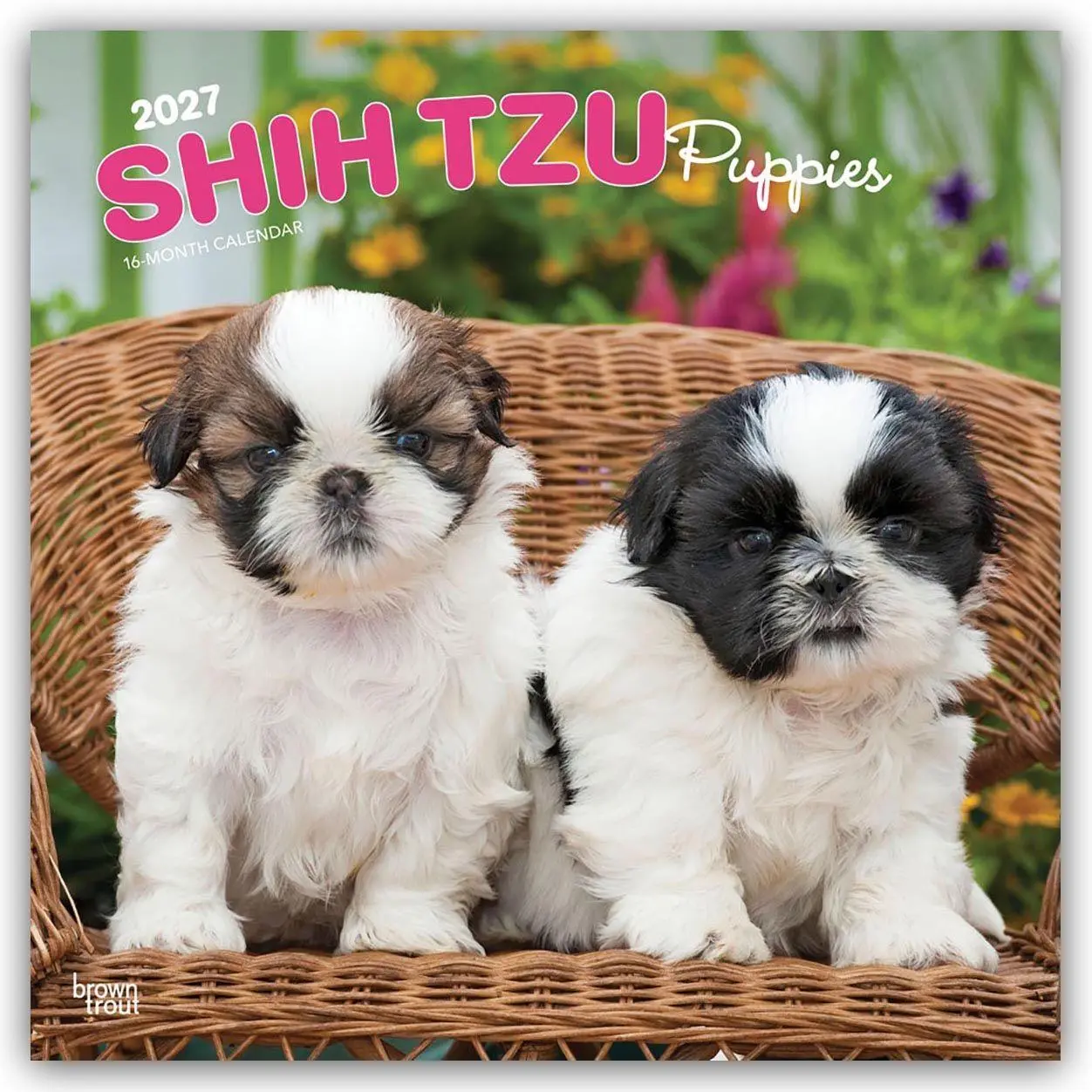 Cover: 9798330712687 | Shih Tzu Puppies - Shih Tzu Welpen 2027 - 16-Monatskalender | Kalender