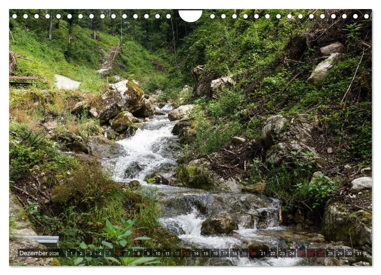 Bild: 9783457582787 | Berchtesgadener Land - Traumhaft schön (Wandkalender 2026 DIN A4...