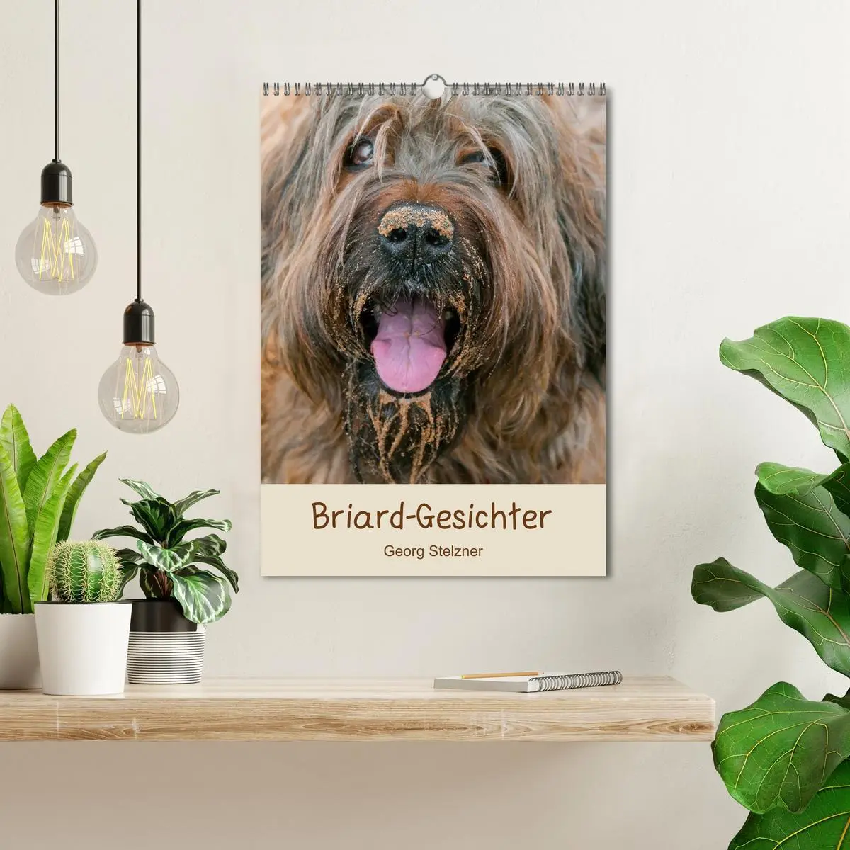 Bild: 9783516432787 | Briard-Gesichter (Wandkalender 2026 DIN A3 hoch), CALVENDO...
