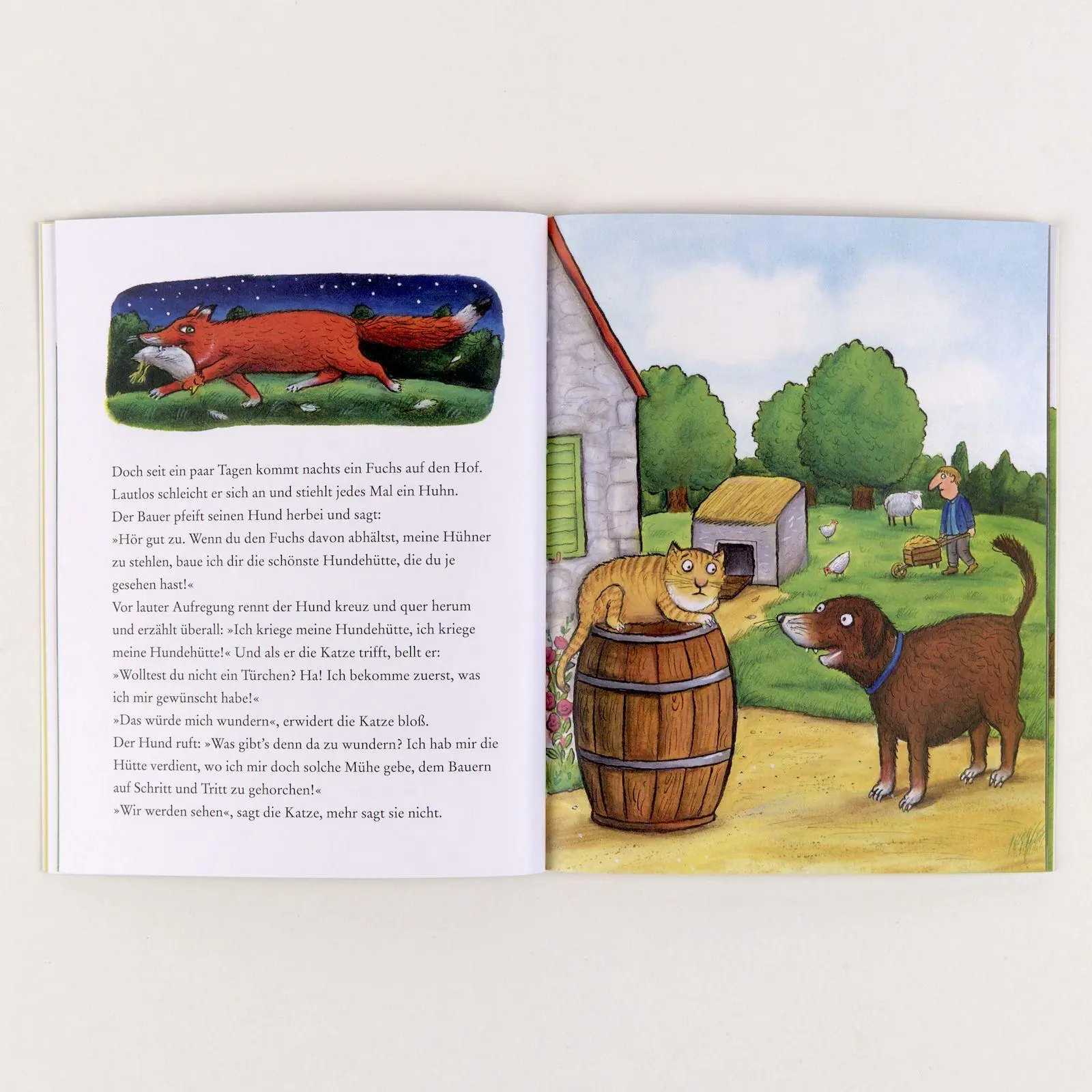 Bild: 9783407762887 | Der Hund und der Hühnerdieb | Vierfarbiges Bilderbuch | Taschenbuch