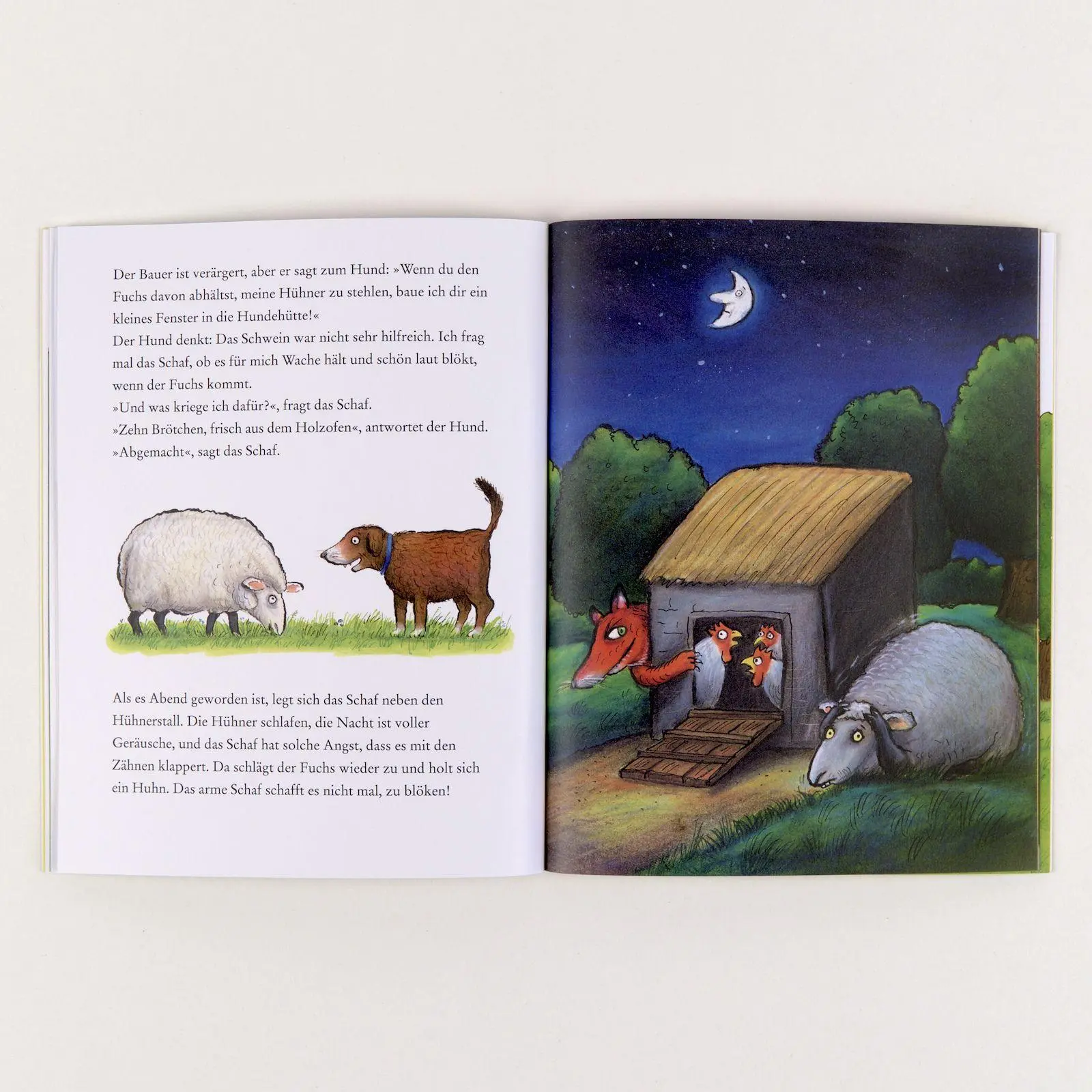 Bild: 9783407762887 | Der Hund und der Hühnerdieb | Vierfarbiges Bilderbuch | Taschenbuch