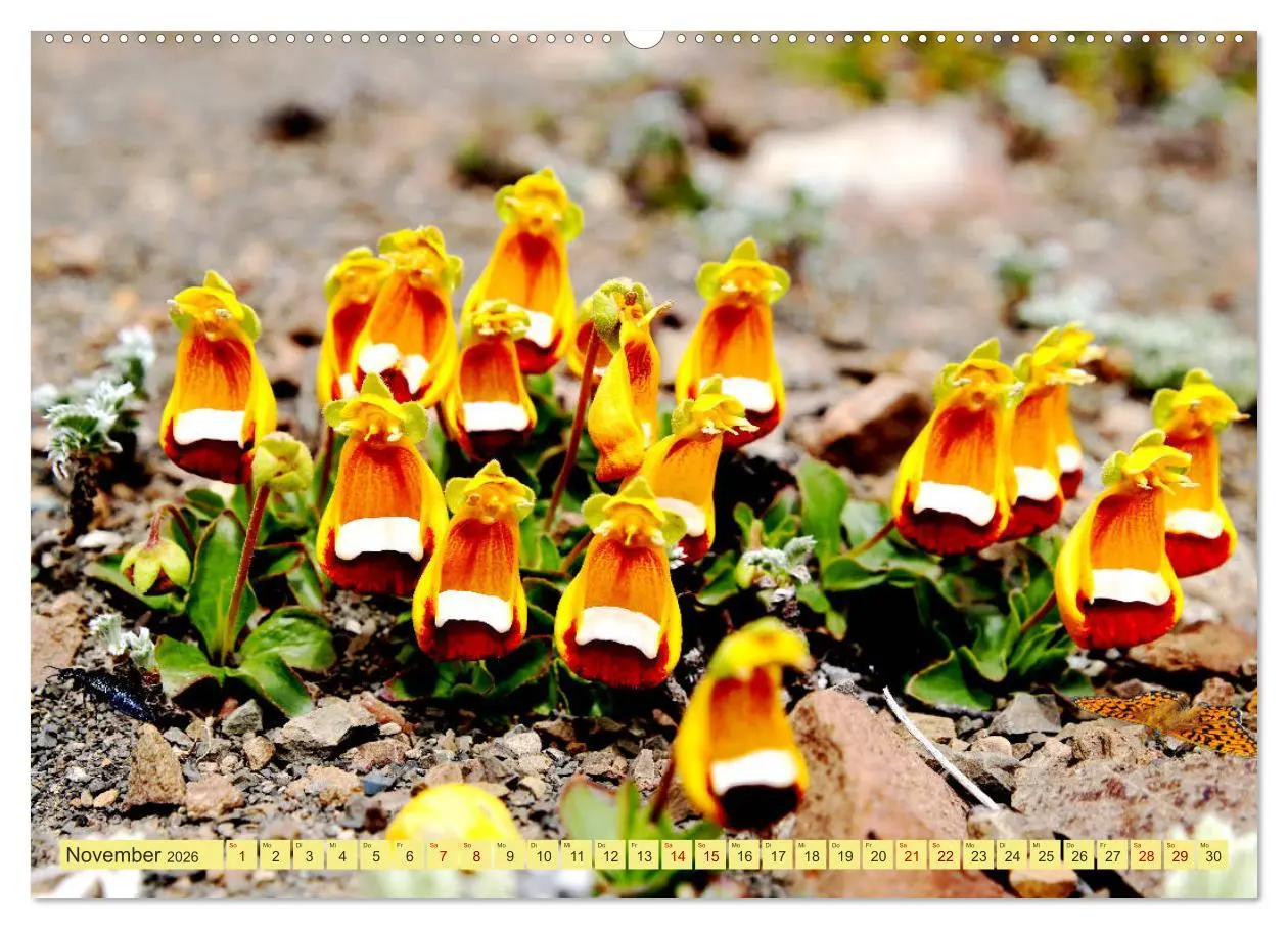 Bild: 9783457712887 | Märchenwelt Patagonien (hochwertiger Premium Wandkalender 2026 DIN...