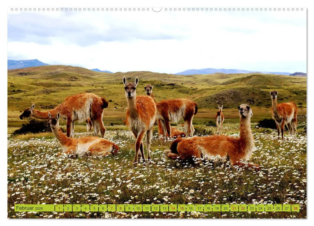 Bild: 9783457712887 | Märchenwelt Patagonien (hochwertiger Premium Wandkalender 2026 DIN...