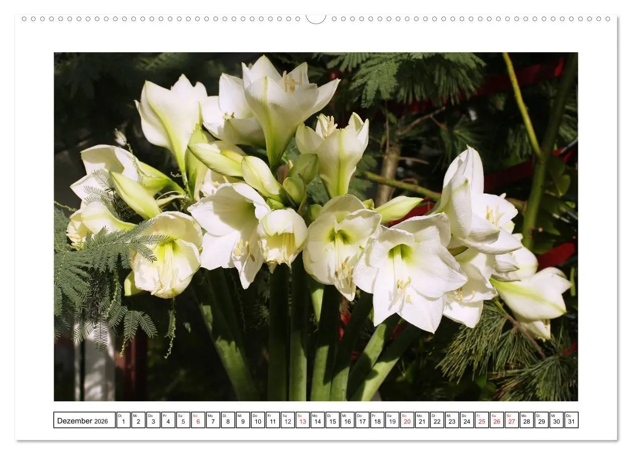 Bild: 9783457952887 | Traumhafte Sträuße (Wandkalender 2026 DIN A2 quer), CALVENDO...