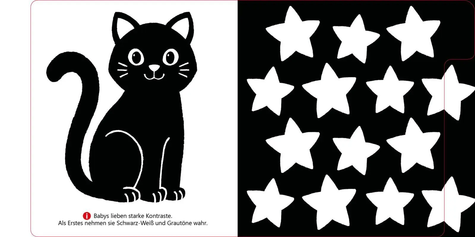 Bild: 9783551062987 | Baby Pixi (unkaputtbar) 170: Mein erstes Kontrastbuch: Farben | Buch