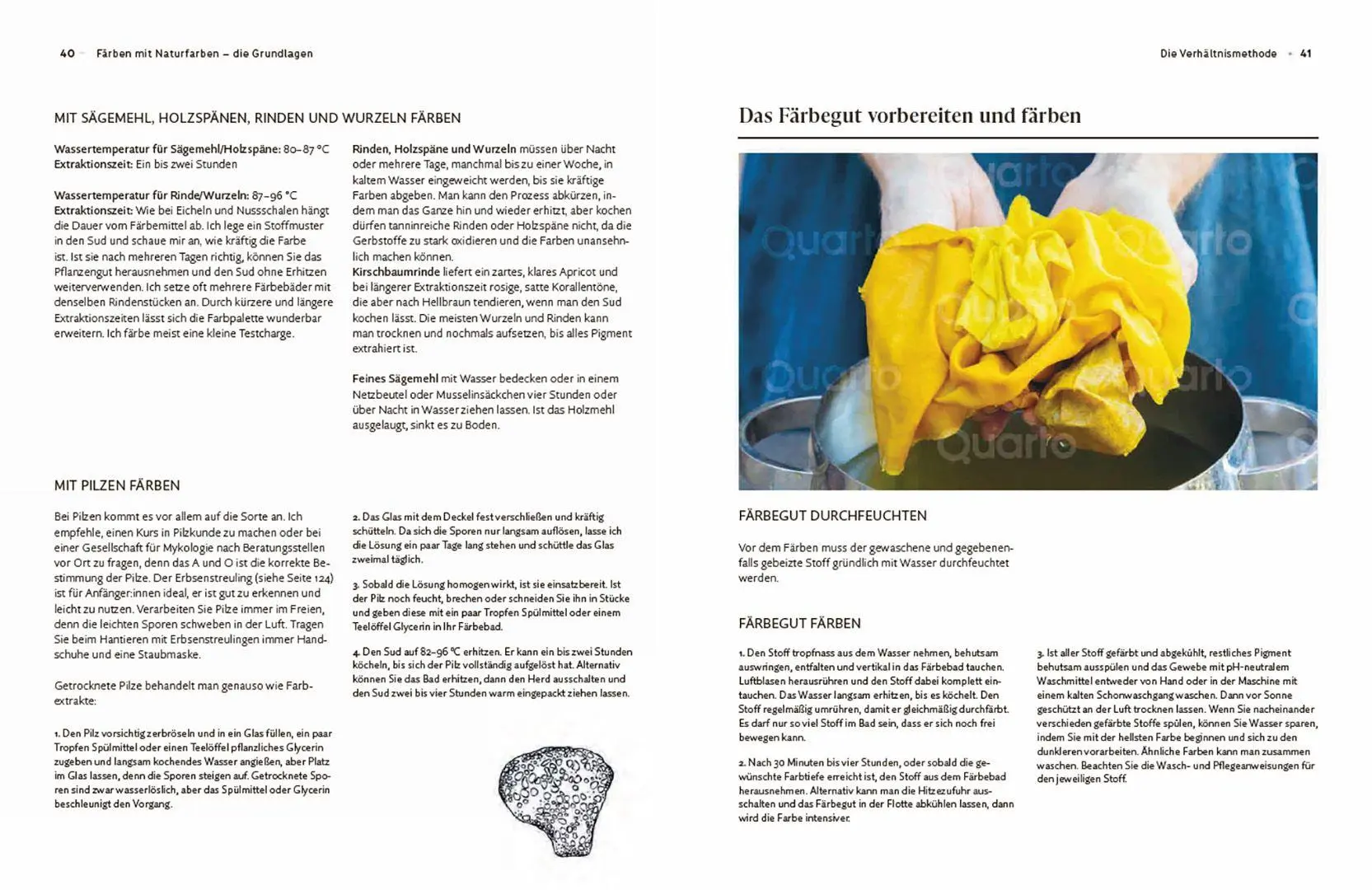 Bild: 9783258603087 | Das Handbuch der Pflanzenfarben | Grundlagen, Methoden, Farbbibliothek