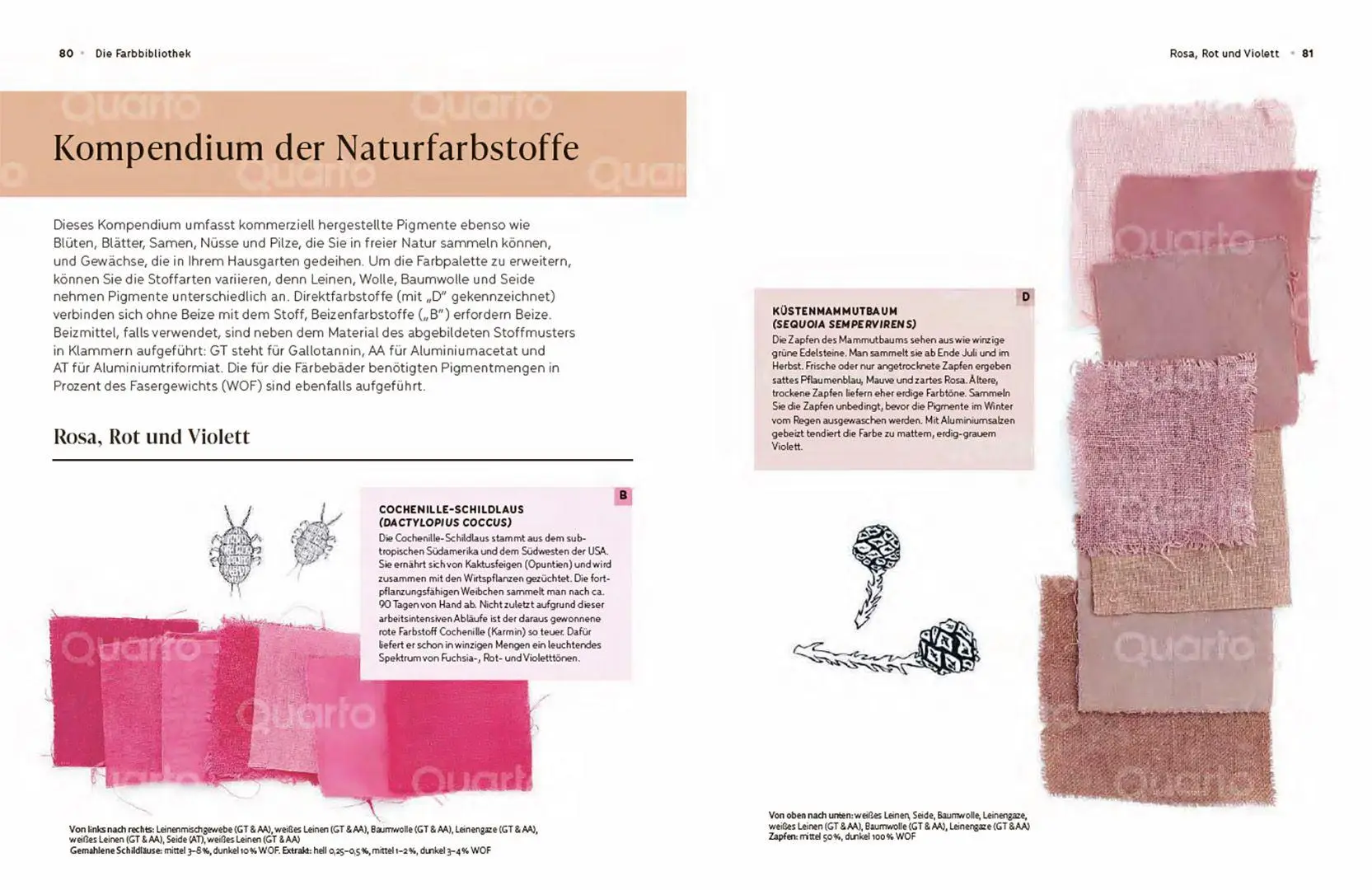 Bild: 9783258603087 | Das Handbuch der Pflanzenfarben | Grundlagen, Methoden, Farbbibliothek
