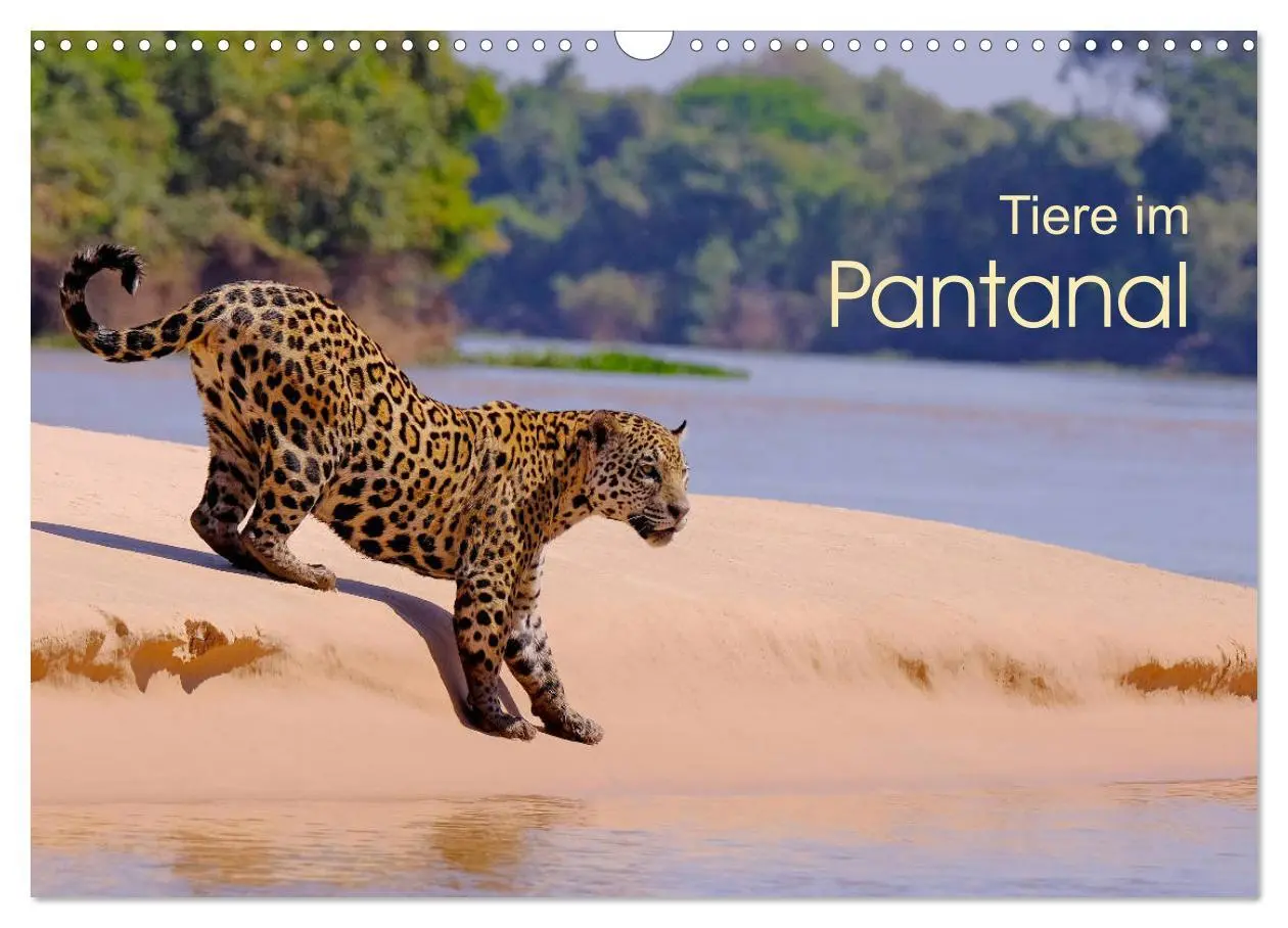 Cover: 9783435123087 | Tiere im Pantanal - viaje.ch (Wandkalender 2025 DIN A3 quer),...