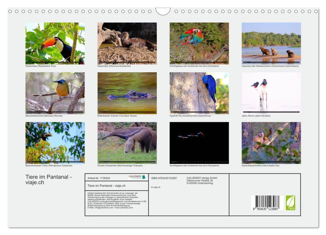 Bild: 9783435123087 | Tiere im Pantanal - viaje.ch (Wandkalender 2025 DIN A3 quer),...