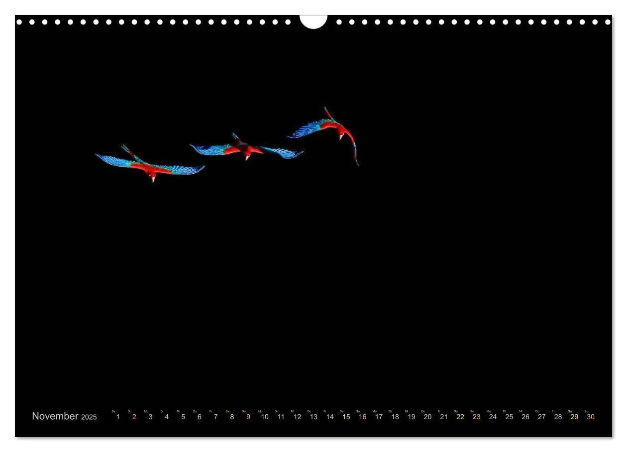 Bild: 9783435123087 | Tiere im Pantanal - viaje.ch (Wandkalender 2025 DIN A3 quer),...