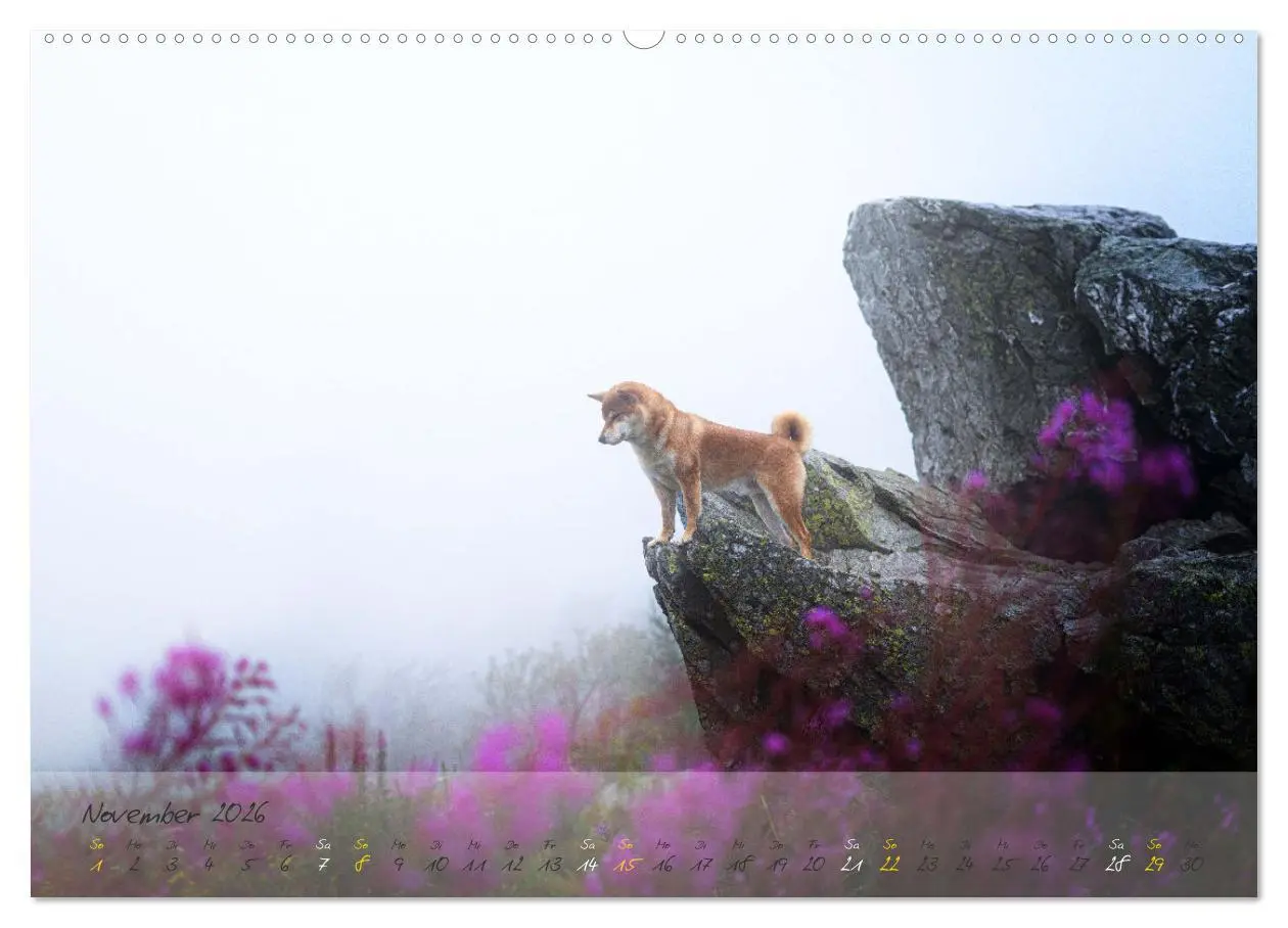 Bild: 9783457453087 | Shiba Inu - mutig, treu, selbstbewusst (hochwertiger Premium...