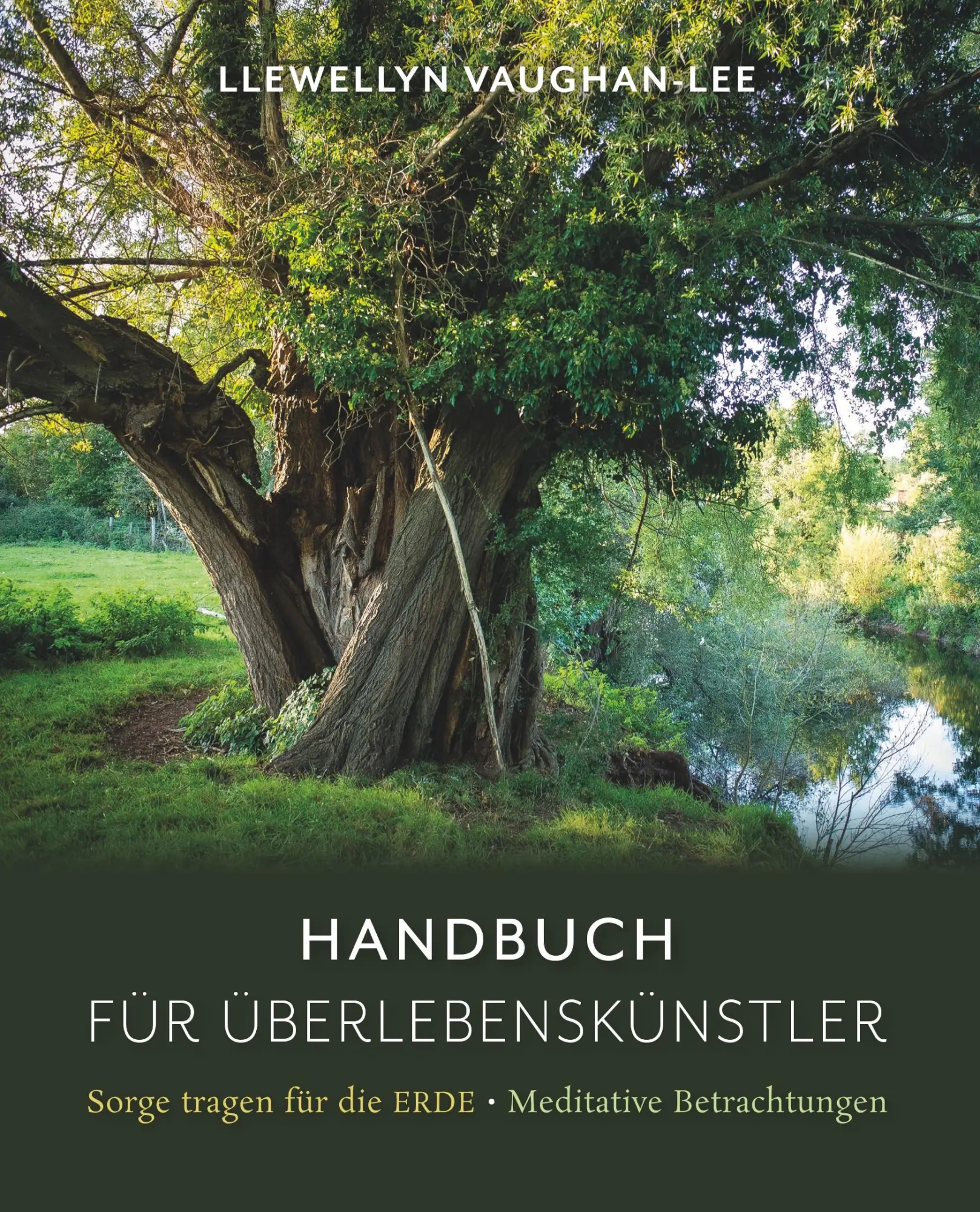 Cover: 9783952383087 | Handbuch für Überlebenskünstler | Llewellyn Vaughan-Lee | Taschenbuch