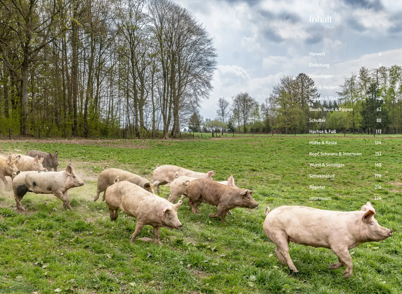 Bild: 9783982153087 | Das ganze Schwein | 90 Rezepte von Nase bis Schwanz | Steffen Kimmig