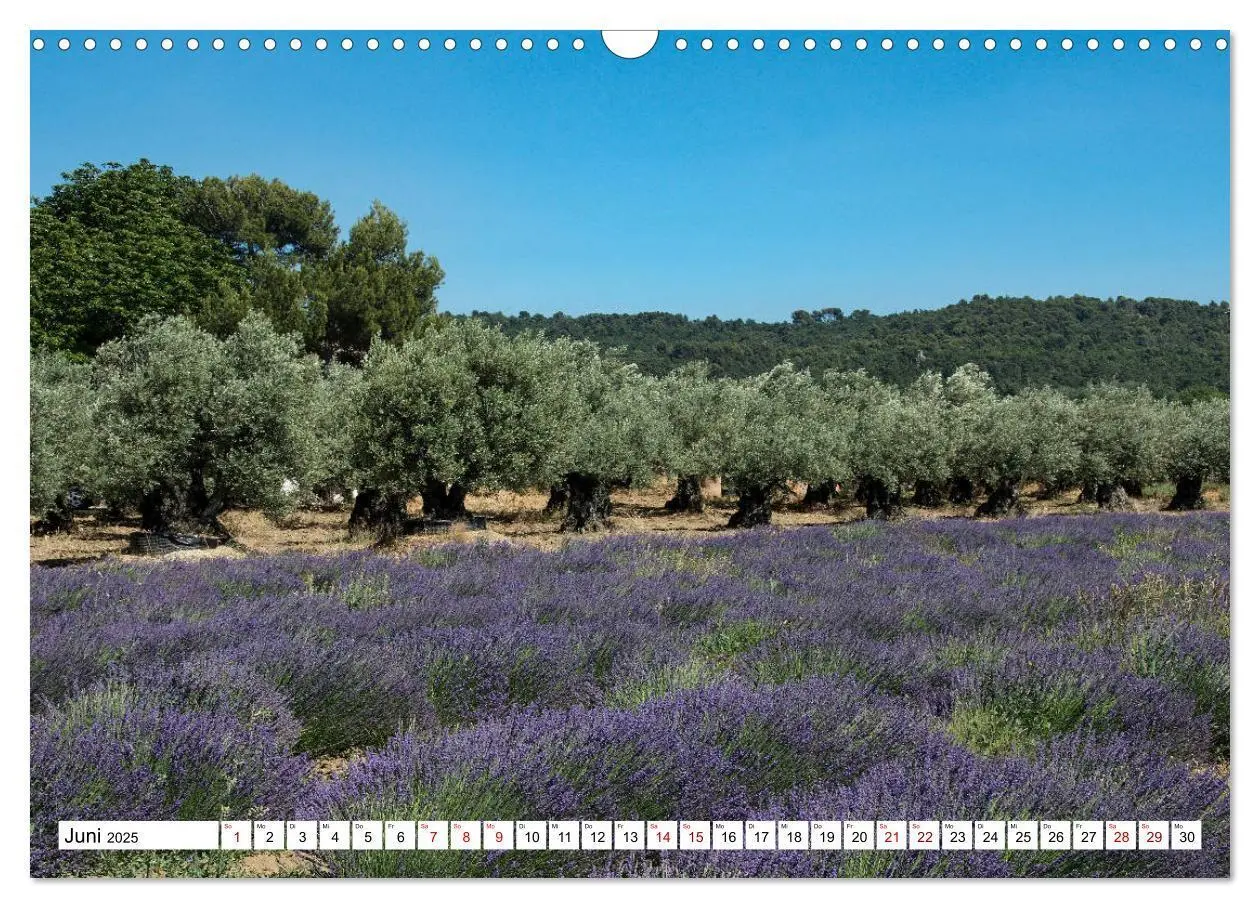 Bild: 9783435353187 | Mit dem Rennrad zum Mont Ventoux (Wandkalender 2025 DIN A3 quer),...