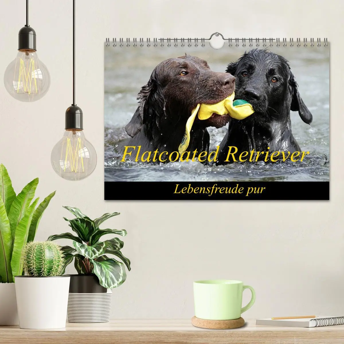 Bild: 9783516153187 | Flatcoated Retriever (Wandkalender 2026 DIN A4 quer), CALVENDO...