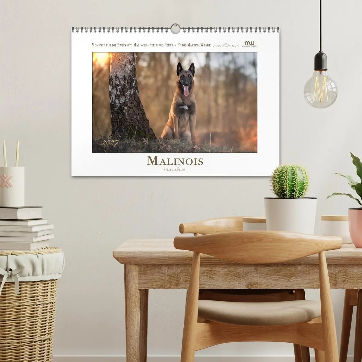 Bild: 9783516773187 | Malinois - Seelen aus Feuer (Wandkalender 2027 DIN A3 quer),...