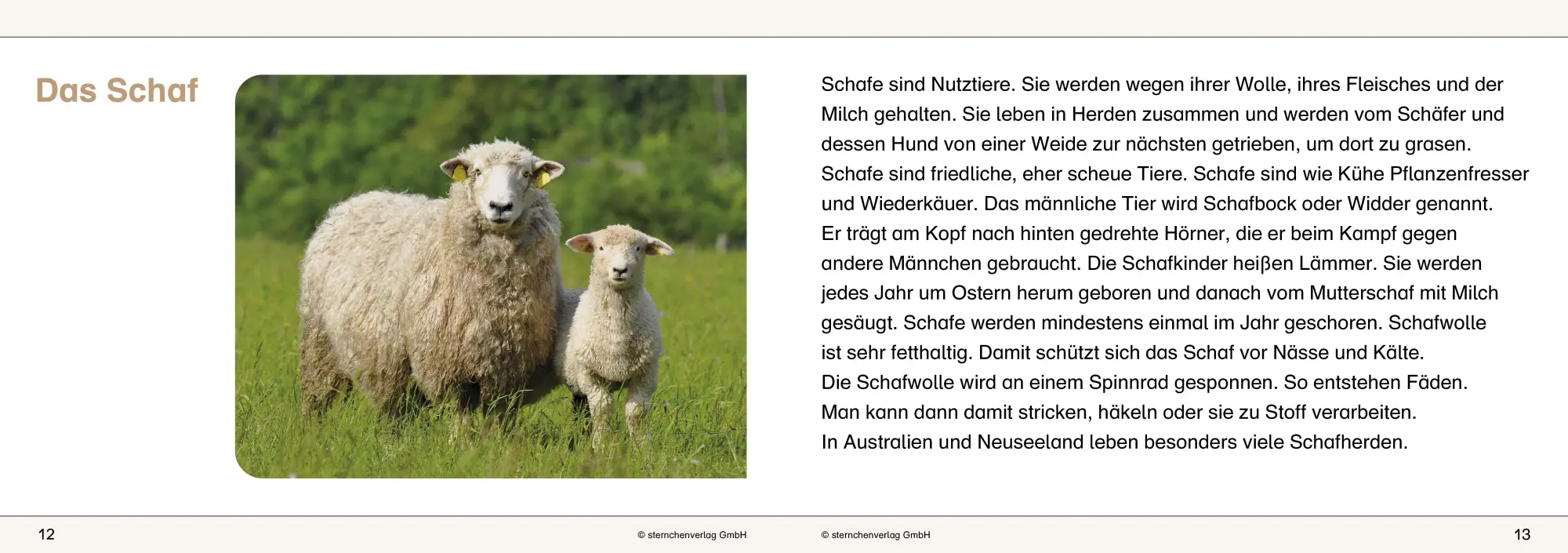Bild: 9783939293187 | Ich kenne Haus- und Hoftiere - Schülerarbeitsheft für die 2. bis 4....