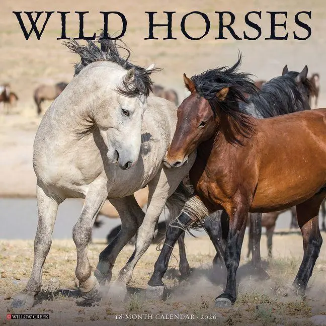 Cover: 9781549253287 | Wild Horses 2026 Wall Calendar | Willow Creek Press | Kalender | 2026