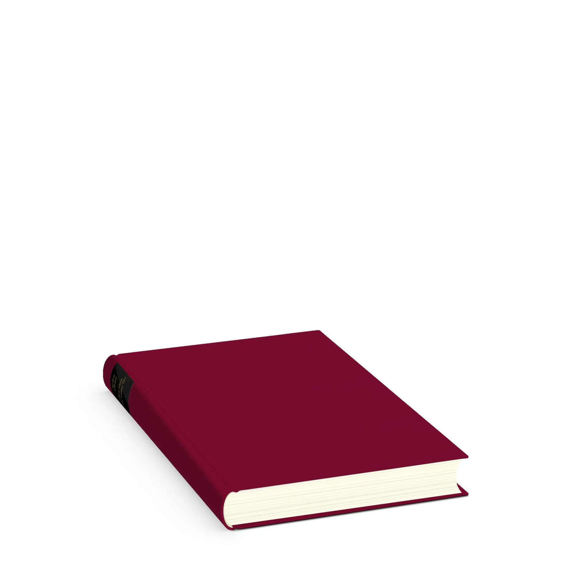 Bild: 9783257073287 | Dein Herz, ein wildes Tier | Jardine Libaire | Buch | 336 S. | Deutsch