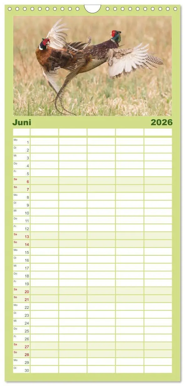 Bild: 9783516523287 | Familienplaner 2026 - Emotionale Momente: Wild und Jagd. mit 5...