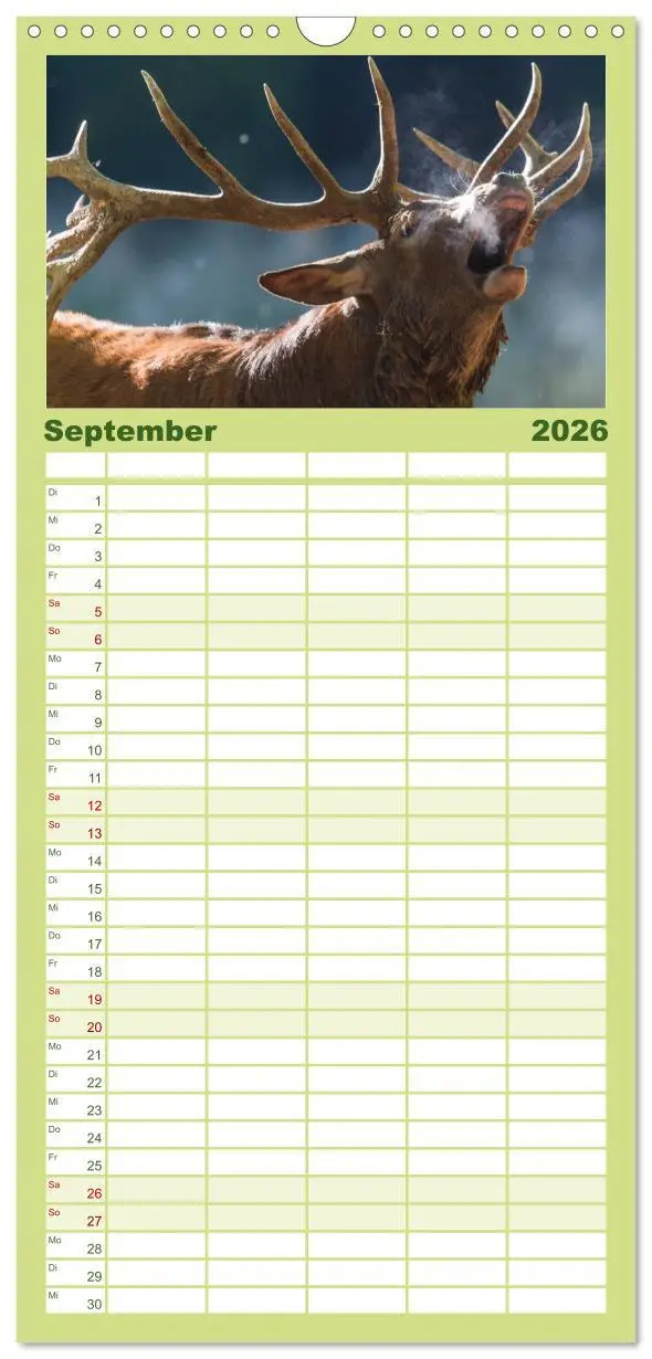 Bild: 9783516523287 | Familienplaner 2026 - Emotionale Momente: Wild und Jagd. mit 5...