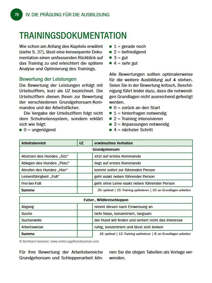 Bild: 9783702023287 | Jagdhunde ausbilden | Bernhard Hammer | Buch | 168 S. | Deutsch | 2026