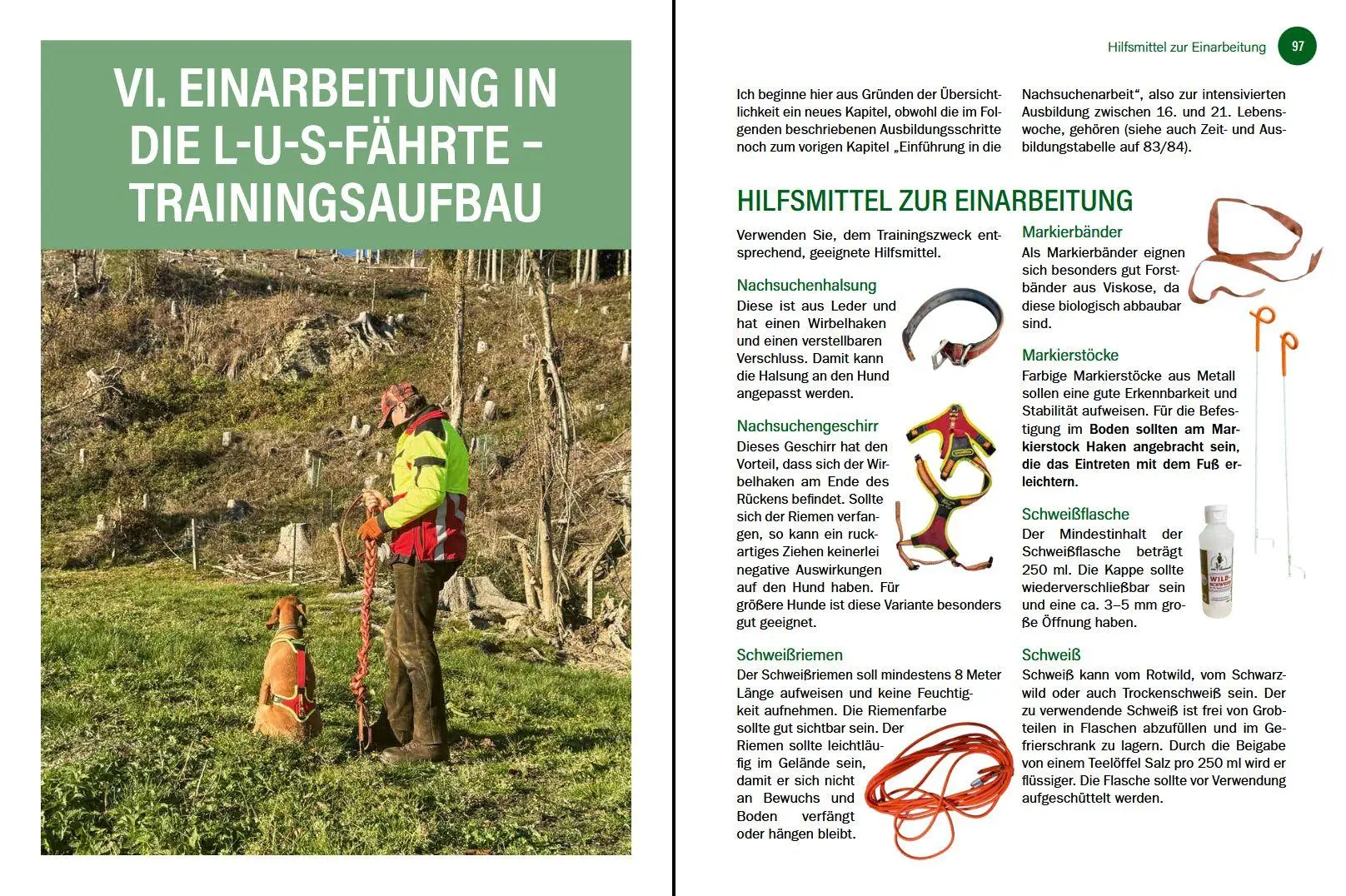 Bild: 9783702023287 | Jagdhunde ausbilden | Bernhard Hammer | Buch | 168 S. | Deutsch | 2026