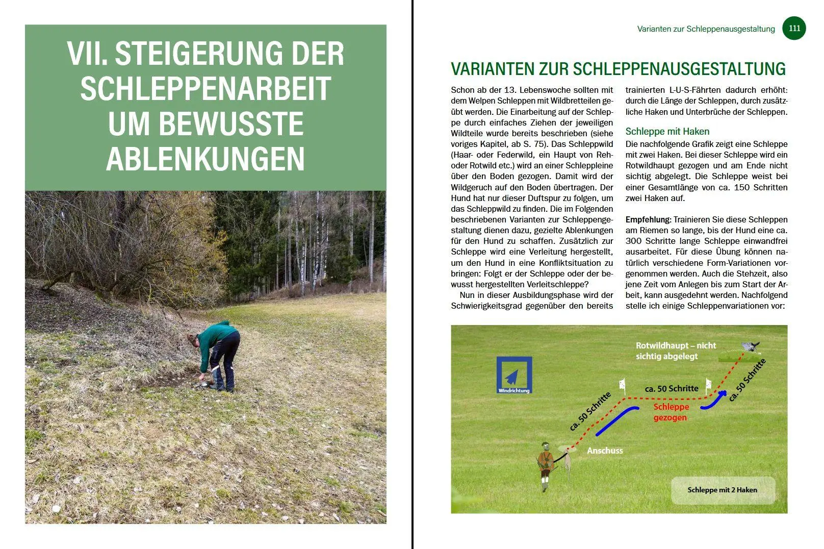 Bild: 9783702023287 | Jagdhunde ausbilden | Bernhard Hammer | Buch | 168 S. | Deutsch | 2026