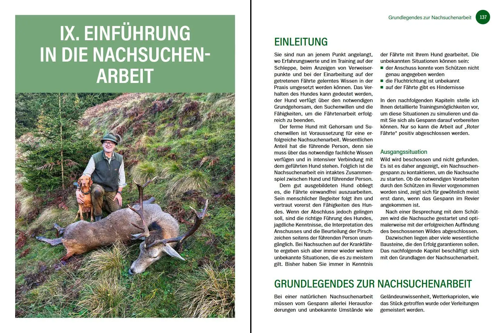 Bild: 9783702023287 | Jagdhunde ausbilden | Bernhard Hammer | Buch | 168 S. | Deutsch | 2026